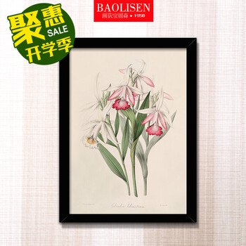 
                                        宝丽森黑框边装饰画客厅卧室时尚现代简约沙发背景油画椰树风光公司字画挂画饭店装饰 复古花夲H 25*34cm高清微喷技术                
