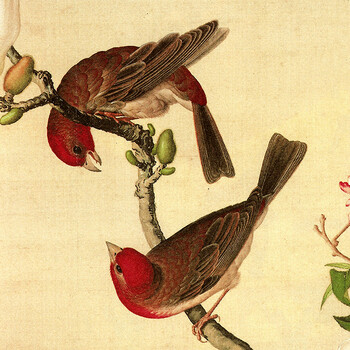 
                                        格丽客厅装饰画中式有框画 郎世宁花鸟画 客厅背景画玄关壁画餐厅挂画新中式别墅喷绘画墙画 花鸟系列一组合 50*70cm                
