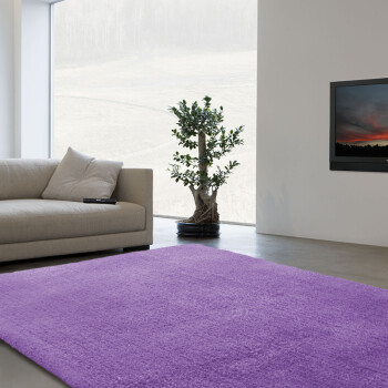 丽家  简约纯色地毯 客厅卧室北极绒地毯 浪漫紫 1200*1700MM