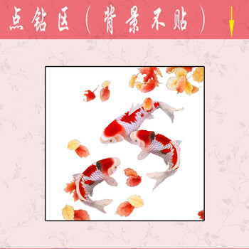 
                                                                                初艺 新款5D魔方钻石画客厅锦鲤秋颂两条鱼年年连莲年有鱼砖石秀大幅点钻圆钻粘贴钻十字绣绣品 5D锦鲤 尺寸65X65cm部分贴钻                