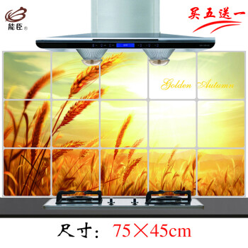
                                        能臣厨房瓷砖贴铝箔防油贴纸厨房纸 耐高温油烟贴铝珀纸75*45cm 绿色城堡                