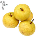 秋子梨安梨冻梨正宗细皮新鲜多汁河北农产品大果唐山特产整箱9斤装 细