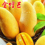 特大红贵妃芒果嫁接南方种象牙芒当年结果果树苗带土带叶发货 金皇芒