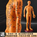 宝树堂品牌同款人体模型十二经络图铜人体穴位模型人全身小皮人 铜色