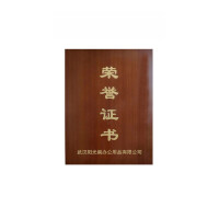 英友 ENYOU  荣誉证书木质证书表彰纪念颁奖牌企业定制一件起