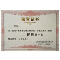 易利丰 10本装烫金带内芯荣誉证书外壳封皮定制全空白奖状纸培训表彰奖励颁奖获奖证书纸可打印纸张内页 （5张装）12开证书配套A4内芯