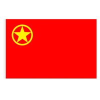 英友（ENYOU）4号共青团团旗春亚纺旗帜144*96cm