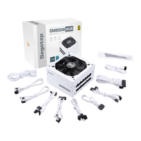 鑫谷（segotep）GM850W ATX3.1金牌全模组冰山版电源（12V-2X6支持5070Ti/5060Ti显卡/白色台式电脑主机箱电源）