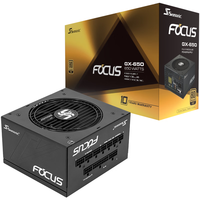 海韵（SEASONIC）650W FOCUS金牌全模电源