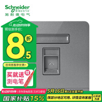 施耐德面板开关 单联电脑插座 荧光灰 E8331RJS5_SL_C1 面板开关
