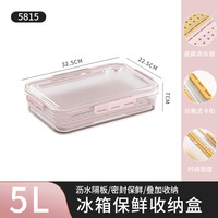 SPACEXPERT透明家用塑料计时保鲜PET收纳盒沥水冰箱密封保鲜盒5L颜色备注