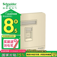 施耐德面板开关 弱电类  一联电脑 金色 E8331RJS5_WG_C1 面板开关