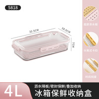 SPACEXPERT透明家用塑料计时保鲜PET收纳盒沥水冰箱密封保鲜盒4L颜色备注