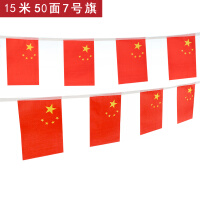英友（ENYOU） 中国国旗串旗50面15米彩旗挂旗拉旗吊旗五星红旗国庆节装饰 7号