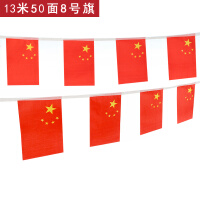 英友（ENYOU） 中国国旗串旗50面13米彩旗挂旗拉旗吊旗五星红旗国庆节装饰 8号