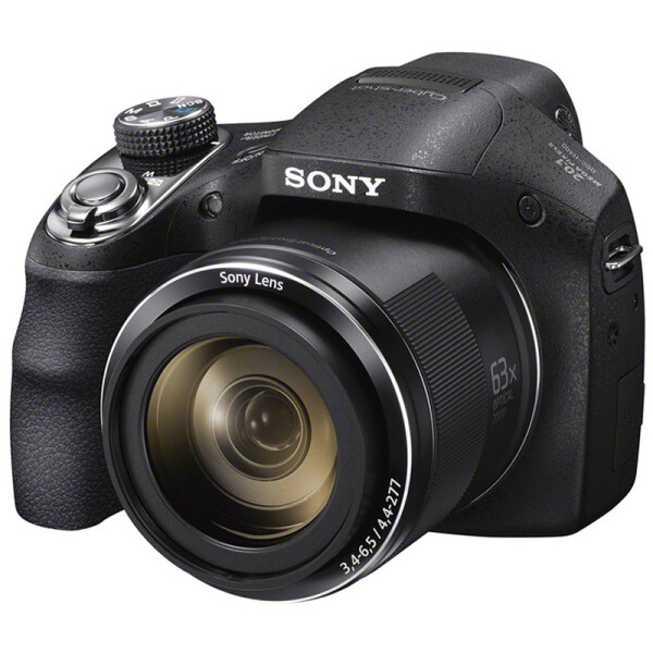 索尼（SONY） DSC-H400 长焦数码相机/照相机 黑色（约2010万有效像素 3英寸液晶屏 63倍光学变 25mm广角）