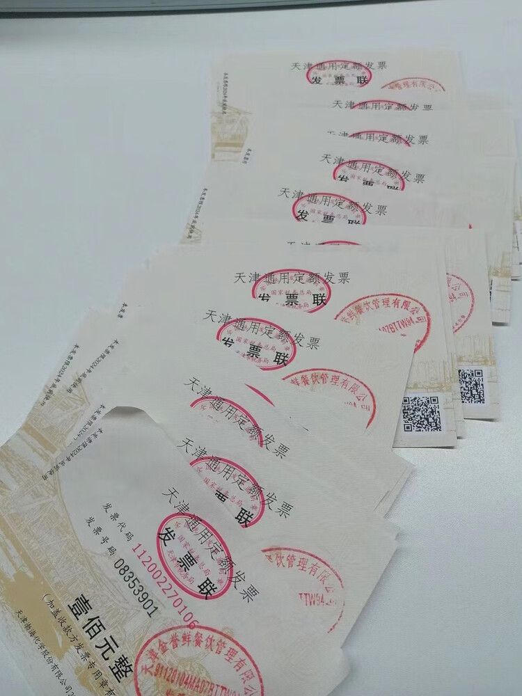 收据餐饮住宿广告技术服务费普通专用电子发票全国通用测试纸凭证