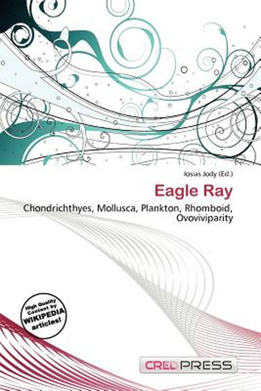 【预订】eagle ray