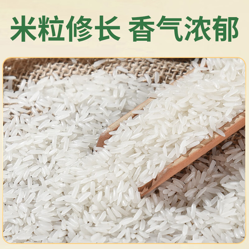 太粮 泰粮香米 籼米 香米大米 5kg