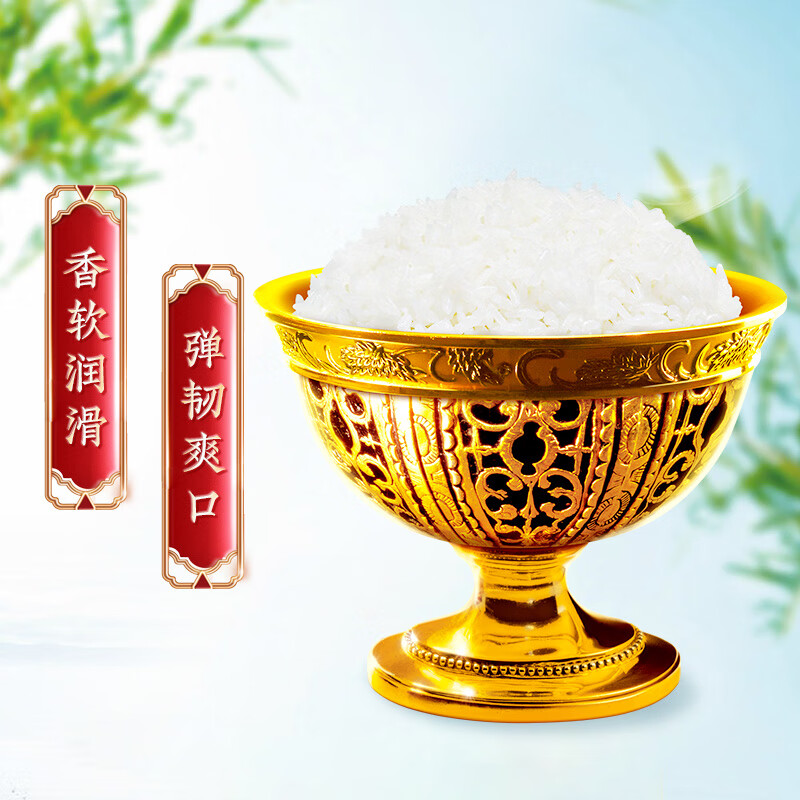 太粮 泰粮香米 籼米 香米大米 5kg