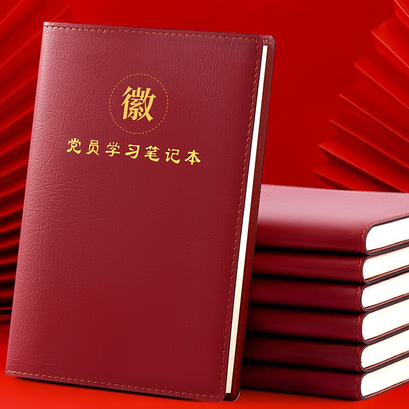 朗捷（longe） 2024新党章党员学习笔记本党史学习教育笔记本党员本会议记录本开会本定制logo 32k党员本-棕色 32k党员本-棕色