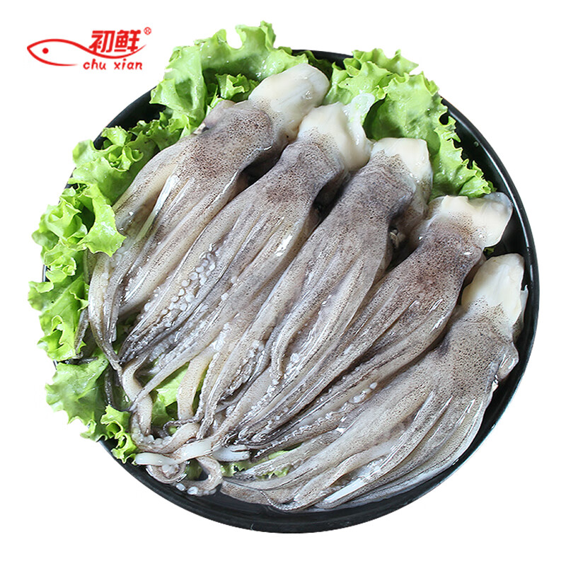 初鲜鲜冻鱿鱼头鱿鱼须 400g 5-7只 铁板鱿鱼烧烤火锅食材  海鲜送礼