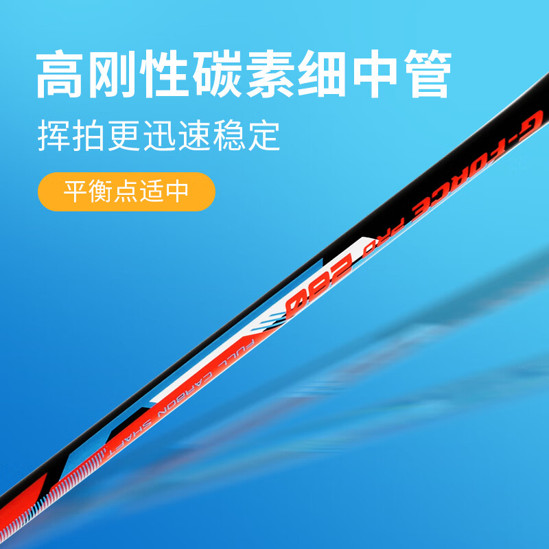 李宁（LI-NING）羽毛球拍2支中杆碳素280碳复合对拍AYPP396（穿线含羽毛球手胶）