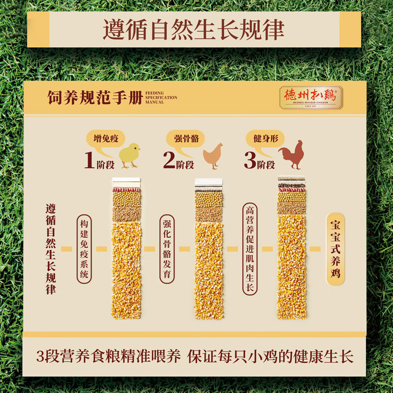 德州扒鸡 山东特产 熟食腊味卤味烧鸡 开袋即食 五香精选童子鸡 500g