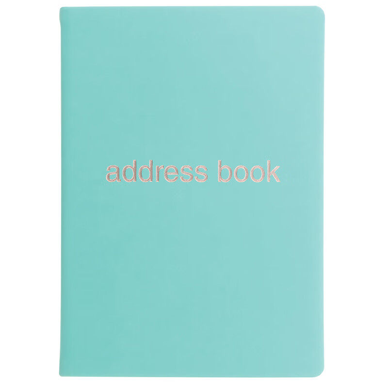 Filofax＆Letts联名款英国进口记事本DAZZLE耀眼时尚彩色系列定页笔记本大号青绿色客户信息联络内页本090049 大号青绿色客户信息联络本090049