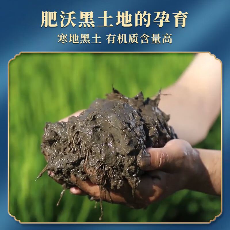 长寿山 东北大米有机稻香米5kg 2022年新米 黑龙江延寿大米粳米10斤送礼