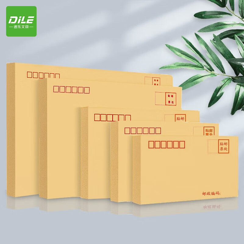 递乐 5号牛皮纸信封袋定制票据工资袋 牛皮纸邮局标准信封100个/包 4605 5号信封*100个