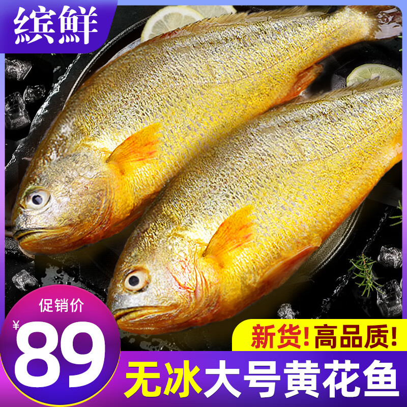 缤鲜 山东 生鲜水产鱼类大黄花鱼净重400g-500g/条 共3条-源头直发 黄花鱼400g-500g/条 【3条】