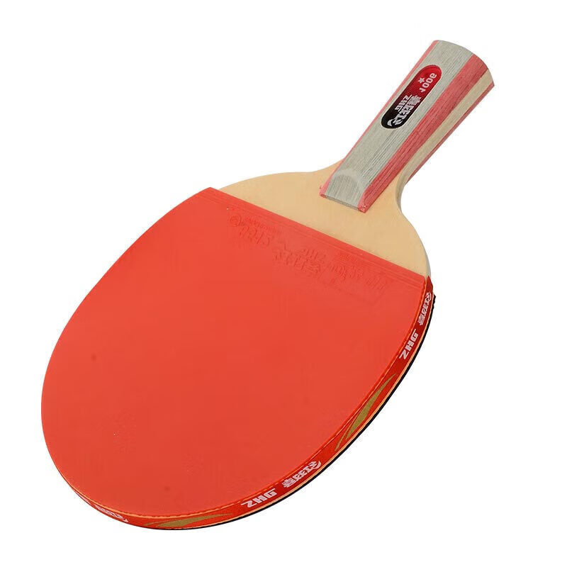 红双喜（DHS）一星级直拍乒乓球拍对拍H1006套装附拍包+乒乓球