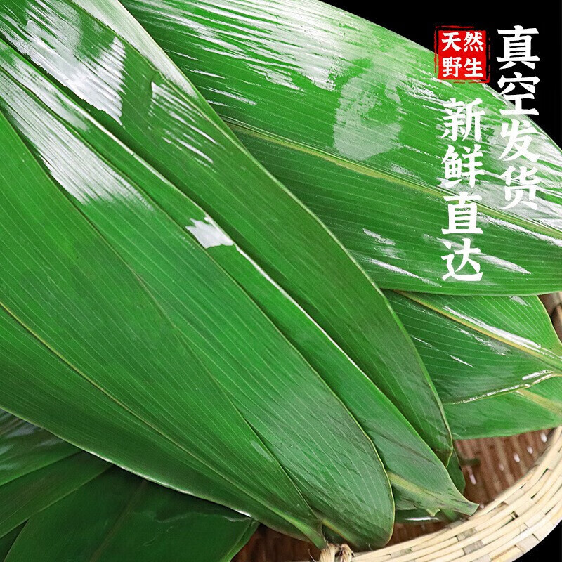 华田禾邦野生粽叶 100片装 特大号8-12cm 清香厚韧 精品箬叶 端午节包粽子 【100片】大片粽叶