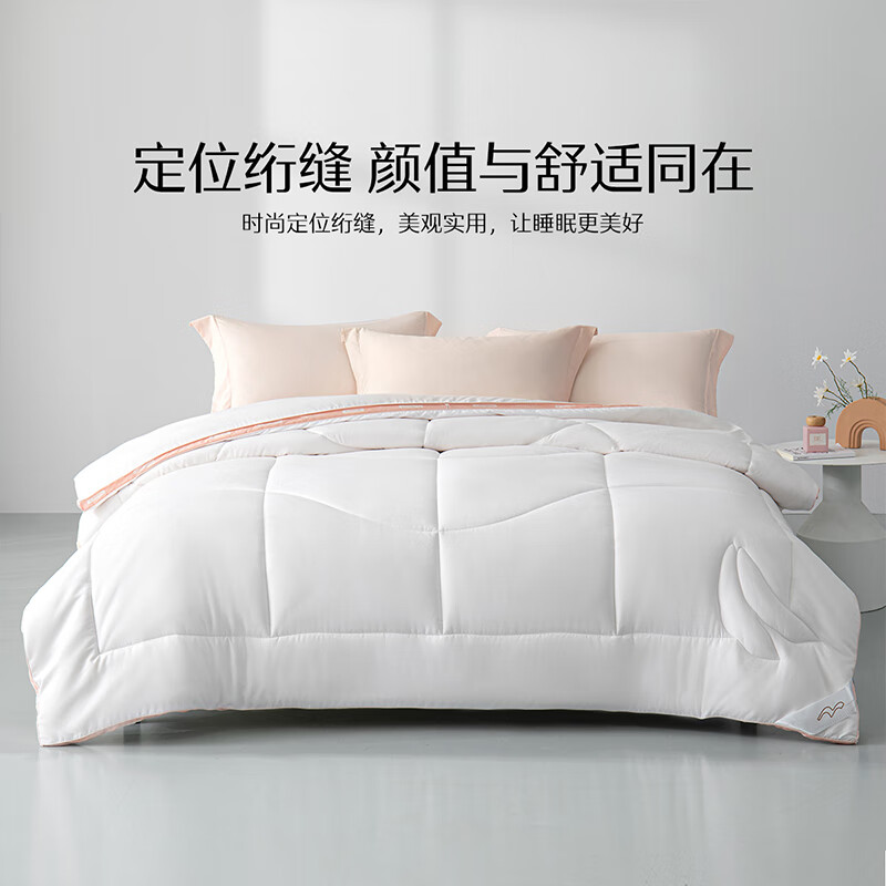 水星家纺被子大豆冬被冬季加厚被芯大豆纤维被褥约8.4斤220*240cm白 [冬被]50%大豆纤维-白色220cm*240cm