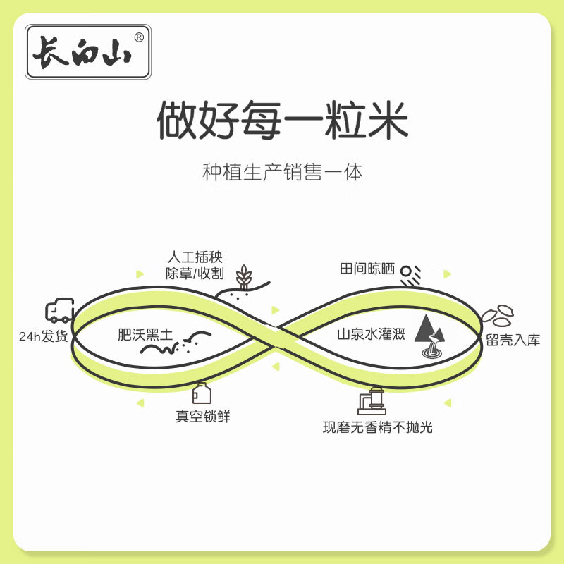 长白山有机大米 新米山泉水5kg  东北大米 双层包装 5kg/5公斤/10斤