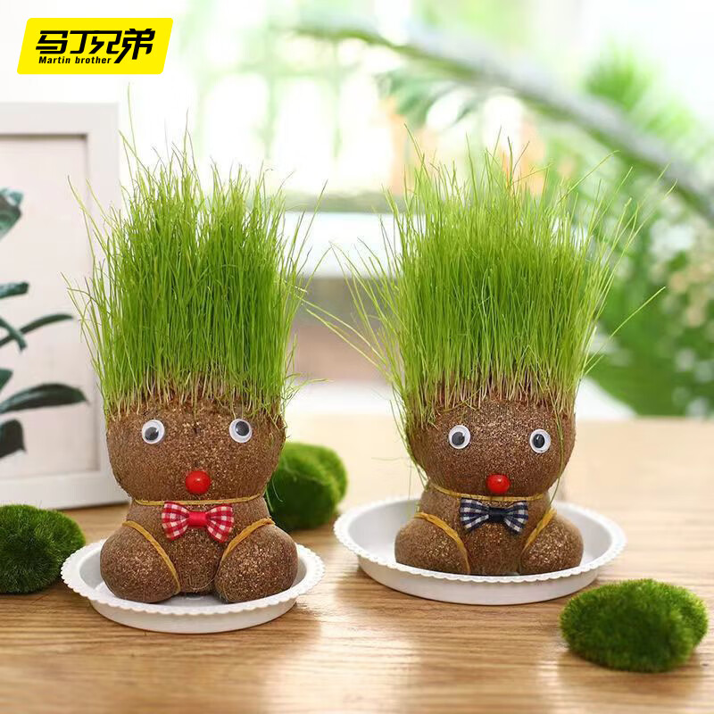马丁兄弟长草娃娃草头娃娃植物盆栽水培观察长草植物玩具男孩女孩 单个装 【5-7天生长+托盘喷壶】种草娃娃