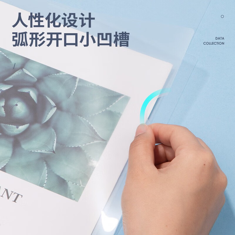 得力办公  抽杆夹5536-A4 彩色抽杆夹学生试卷办公资料收纳文件夹(5只/包)5包起售
