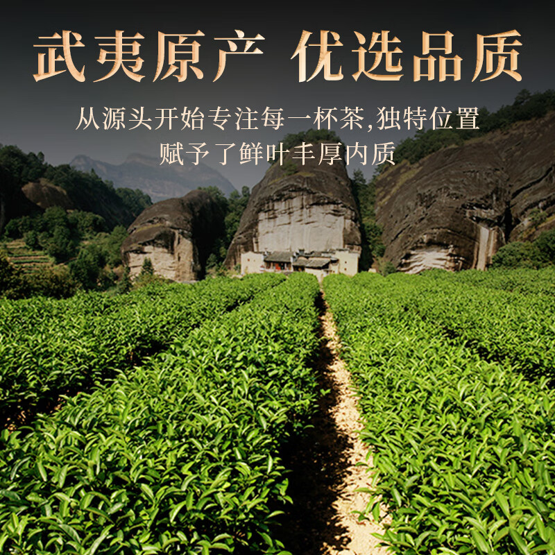 传奇会乌龙茶 武夷岩茶 水仙 特级84g 中足火盒装口粮茶叶自己喝 【口碑好茶】品质水仙茶168g