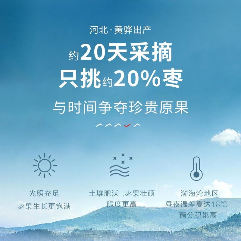 良品铺子 脆冬枣量贩装 红枣零食大礼包无核脆枣蜜饯果干家庭量贩礼盒400g