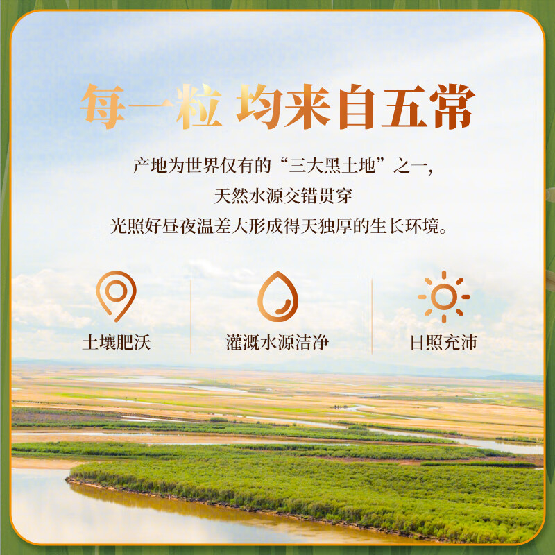五丰（华润） 五常大米 五常稻花香2号500g  五常稻田 1斤尝鲜装
