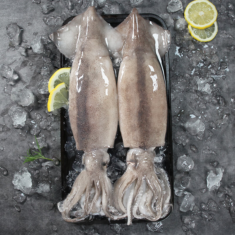 初鲜鲜冻整条大鱿鱼(2条)净重600-650g 铁板鱿鱼 烧烤食材 海鲜水产