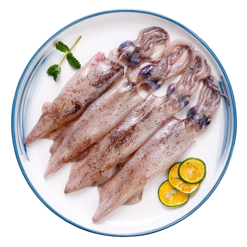 美加佳笔管鱿鱼净重1斤 海兔子 墨斗鱼 无保水剂 烧烤食材 海鲜水产 笔管鱿鱼 1斤(净重)  