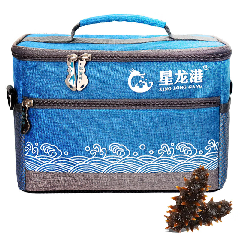 星龙港 大连海参即食 辽刺参 海鲜水产 海洋之心300g(10-15头) 海洋之心300g(10-15头)