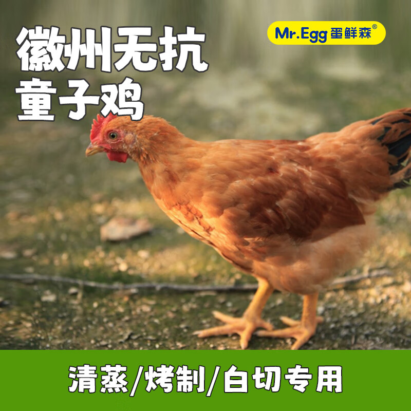 蛋鲜森蛋鲜森谷饲无抗童子鸡现杀速冻烤制清蒸专用顺丰发货900g 一只装 