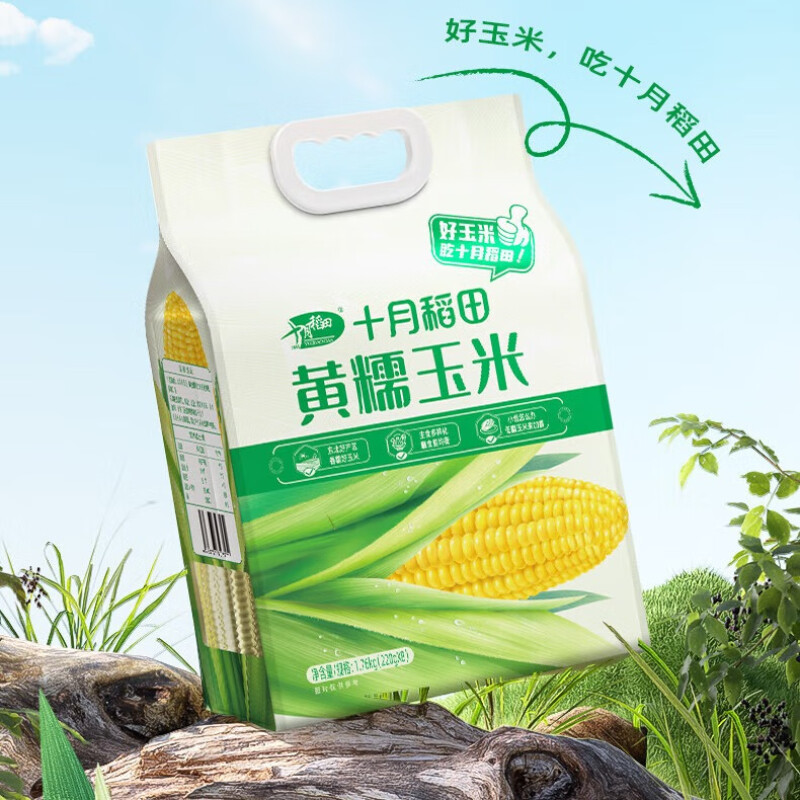 十月稻田东北甜糯玉米棒子 杂粮礼包黄糯玉米1.76kg新老包装随机发货 
