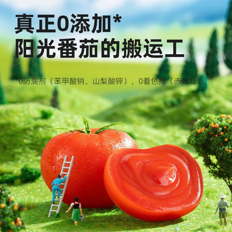海天 花式吃法 美味搭档 点蘸调味 轻食伴侣 有机番茄沙司305g*10袋
