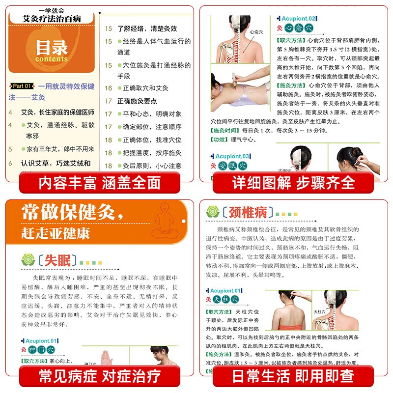 国医养生堂-一学就会艾炙疗法治百病彩图版正版中医艾灸工具家用书针灸书