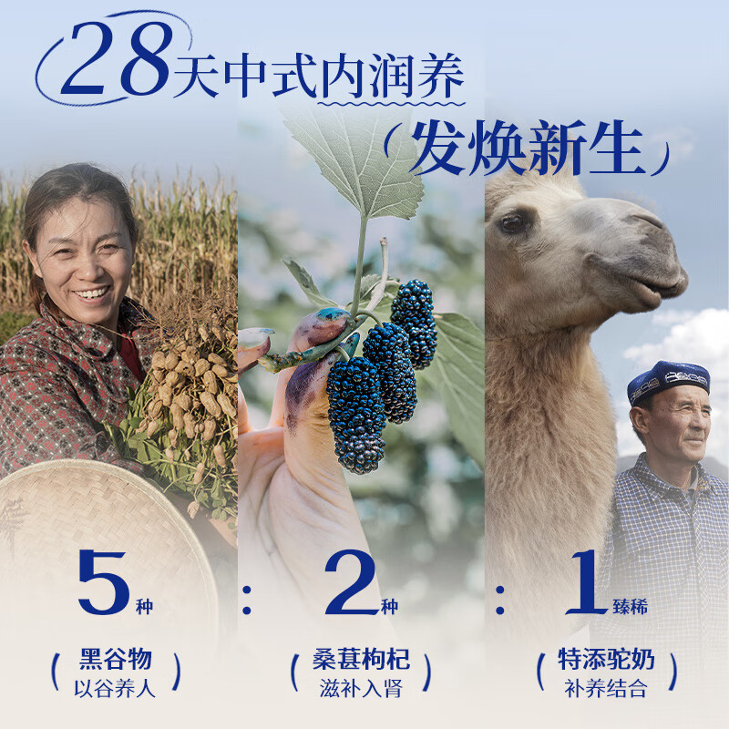 谷掌柜驼奶七黑粉黑芝麻糊核桃黑枸杞黑桑葚黑豆黑发黑营养早代餐500g*3