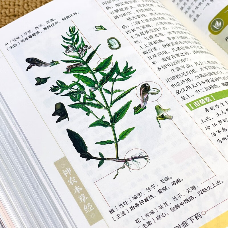 神农本草经